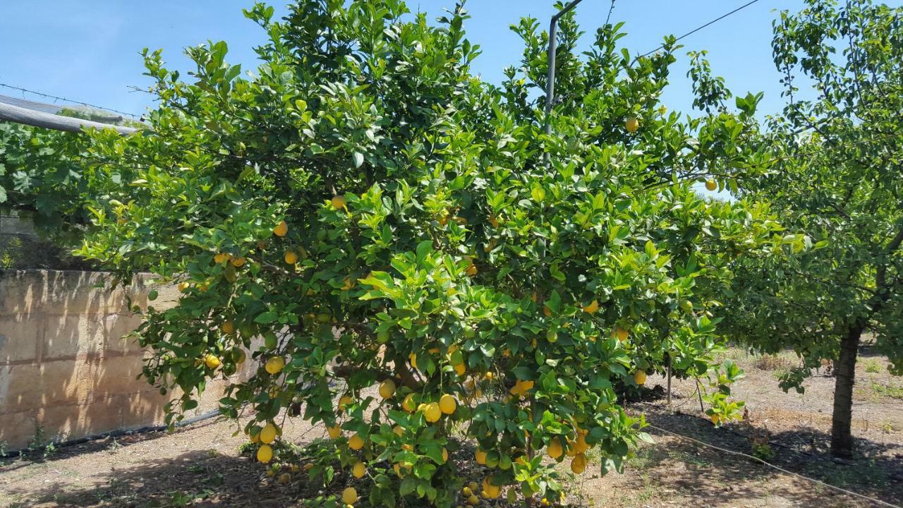 Finca Sa Cova De Mallorca Сенсельес Экстерьер фото