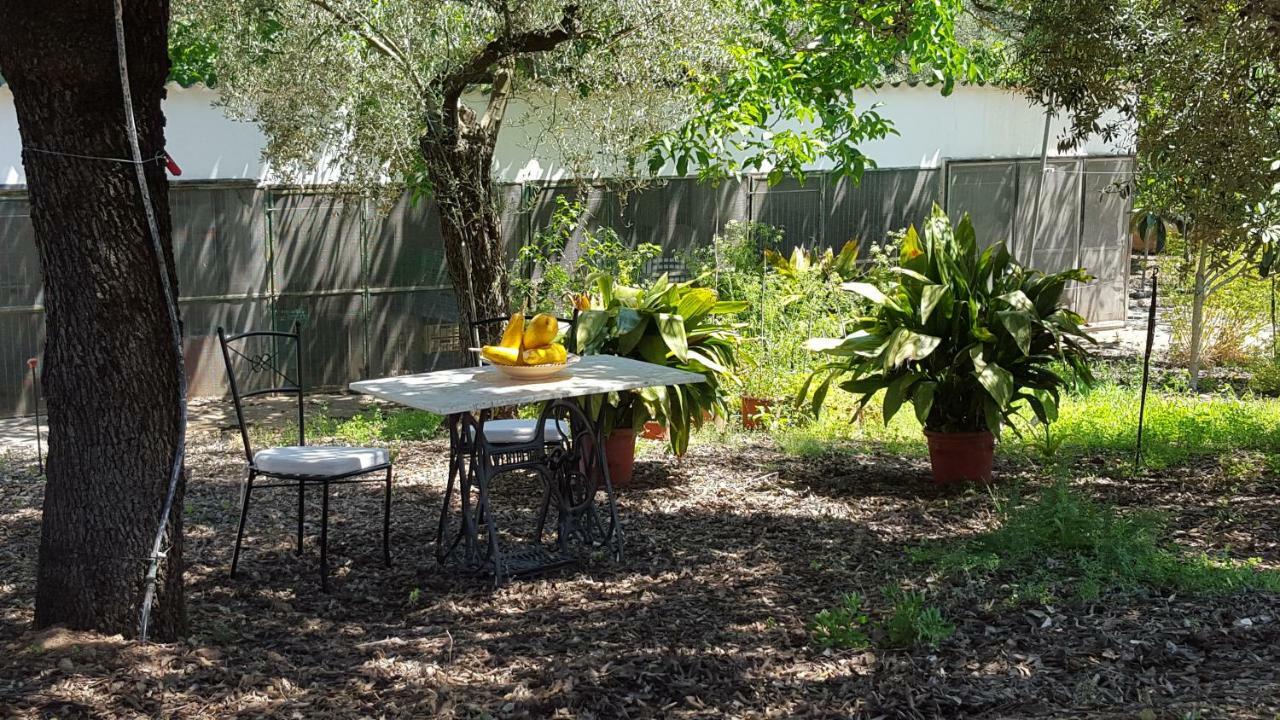 Finca Sa Cova De Mallorca Сенсельес Экстерьер фото