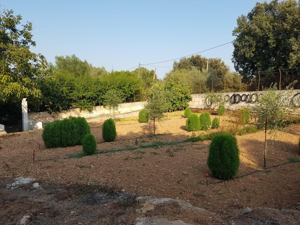 Finca Sa Cova De Mallorca Сенсельес Экстерьер фото