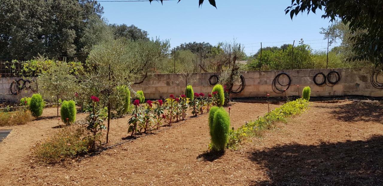 Finca Sa Cova De Mallorca Сенсельес Экстерьер фото